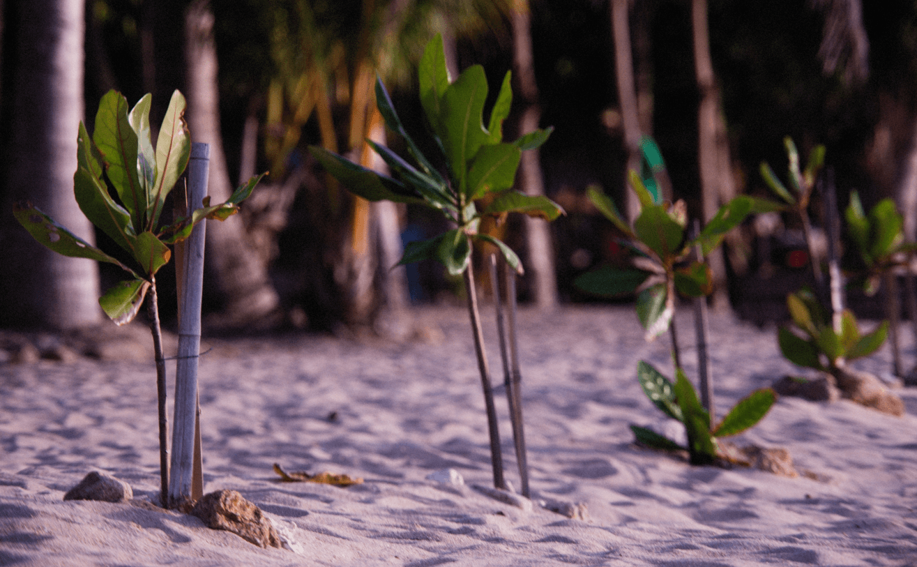 featured-image